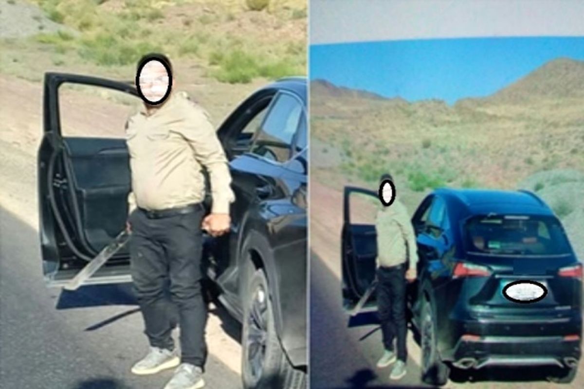 دستگیری شرور