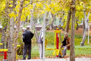 شایع ترین علت مرگ ناشی از آسیب ها در سالمندان به دلیل زمین خوردن است