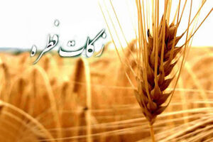 جمع آوری بیش از 11 میلیارد تومان زکات فطریه در مازندران