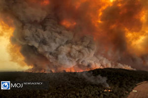 آتش سوزی مزارع گندم و جو در حسکه سوریه توسط مزدوران ترکیه