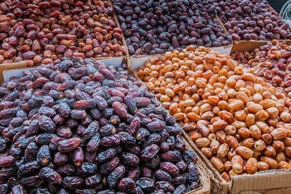 ایران دومین تولیدکننده خرما در جهان است