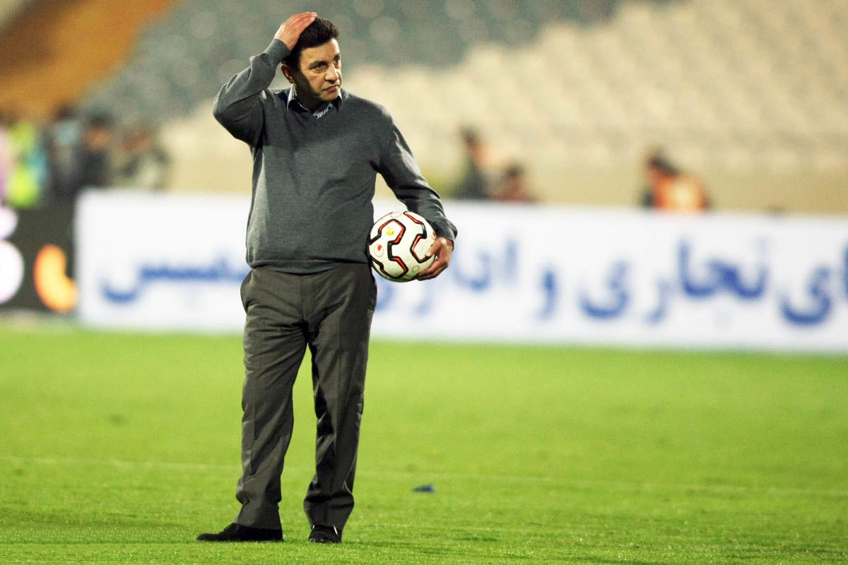 امیر قلعه نویی