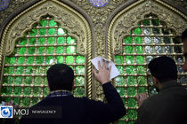 ضریح مطهر امام رضا(ع) غبارروبی شد