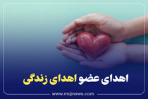 اهدای عضو استان یزد دردسال ۱۴۰۲ به ۱۷ مورد رسید 