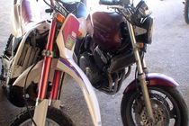 کشف و توقیف 260 میلیون ریال کالای قاچاق در گلپایگان 