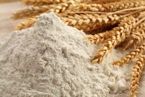 کاهش ۳۵ درصدی خرید تضمینی گندم در سال خشکسالی