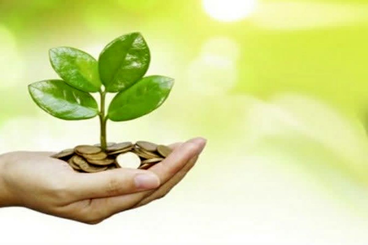 عکس خبرکمیته