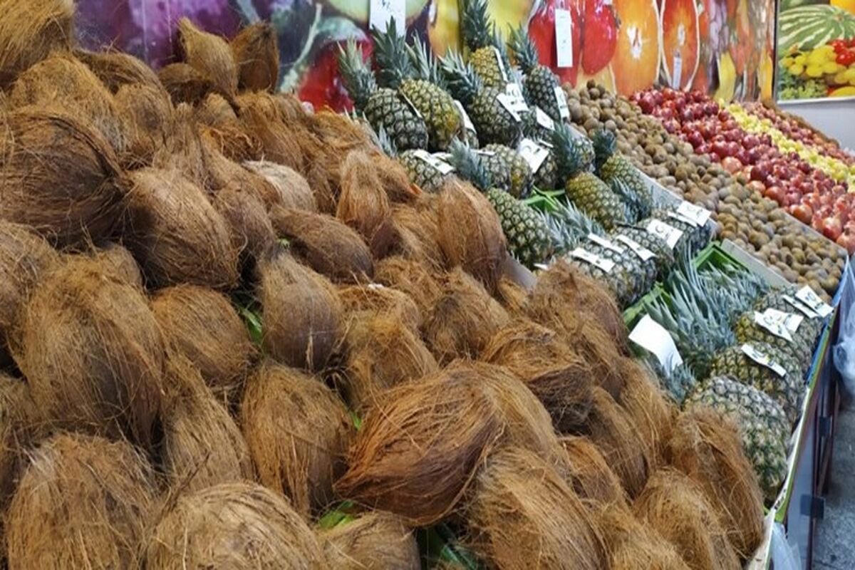 میادین میوه و تره ‌بار