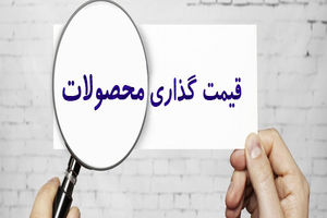 آیا دخالت در قیمت گذاری محصولات و خدمات در چهارچوب قانون اساسی می باشد؟