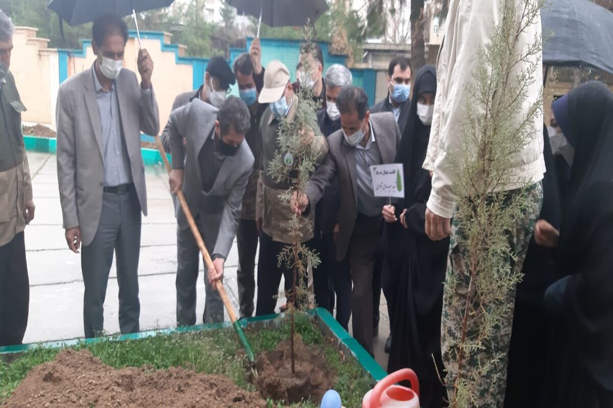 درختکاری