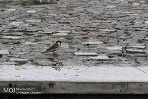 پیش بینی وضعیت آب و هوای 3 روز آینده کشور