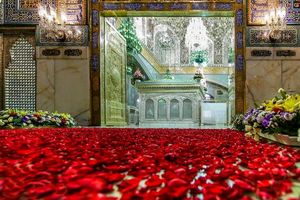 گلباران حرم مطهر رضوی در روز ولادت امام هشتم (ع) 