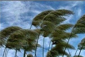 وزش باد شدید در نوار شرقی کشور