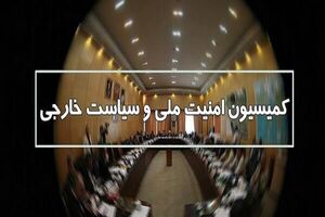 کمیسیون امنیت ملی به اعتراضات و تحولات ونزوئلا ورود می‌کند 