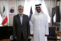 دیدار سفیر قطر در ایران با وزیر ارشاد
