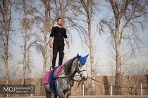 ورزش ولتیژ در ایران