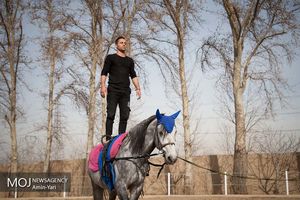 ورزش ولتیژ در ایران