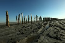 ماجرای پایه پلی که قاب شده تا مستندی ساخته شود/یادگاری از اسکله ای متروکه در دریاچه ارومیه