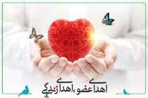 اعضای بدن جوان نوش آبادی  به چند بیمار نیازمند زندگی دوباره بخشید
