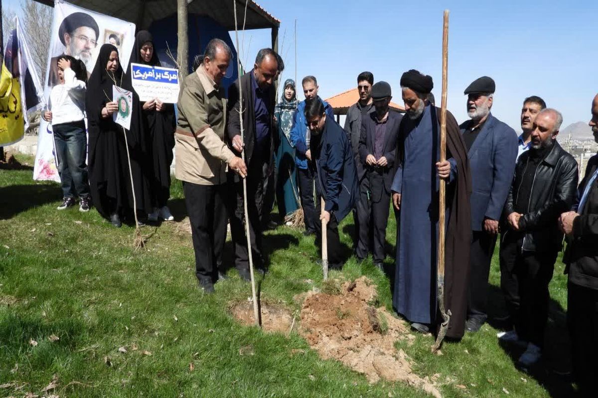 درختکاری