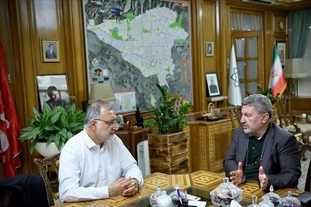 رئیس شورای اطلاع رسانی دولت