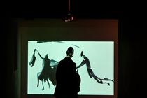 مستند «معمای پیکاسو»در سینماتک موزه هنرهای معاصر تهران به نمایش درمی‌آید