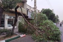 تهران طوفانی است+فیلم