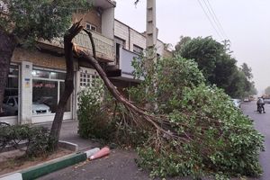 تهران طوفانی است+فیلم