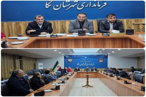 دستگاه‌های اجرایی نکا برای افتتاح پروژه‌ها در دهه فجر بسیج می‌شوند