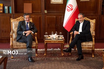 مدیرکل آژانس بین‌المللی انرژی اتمی با وزیر امور خارجه ایران دیدار و گفتگو کرد