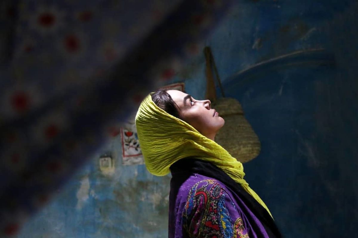 فیلم سینمایی گردو