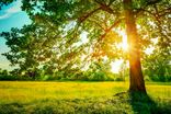 آسمان صاف برای اردبیل تا سه روز آینده / احتمال رگبارهای بهاری در پایان هفته