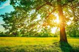 آسمان صاف برای اردبیل تا سه روز آینده / احتمال رگبارهای بهاری در پایان هفته