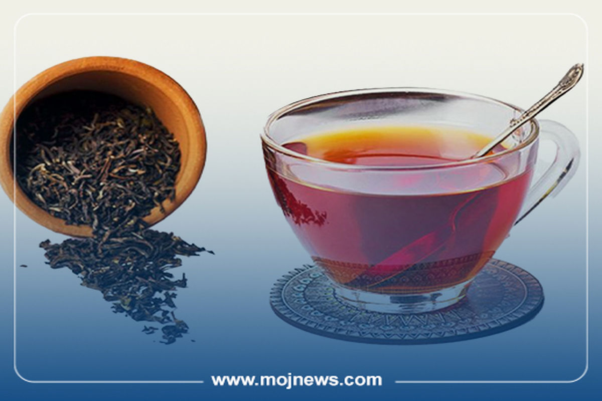 کاور اینفو2 copy