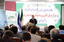 دولت برای خروج بازار برنج مازندران از رکود مصمم است