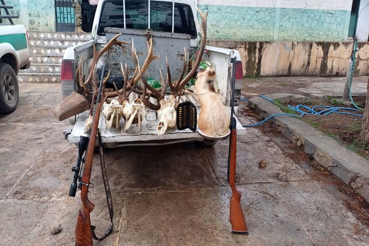 محیط زیست مازندران