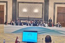 امیدواریم «دی ۸» پیام محکمی در مقابل توقف جنایات اسرائیل به دنیا بدهد