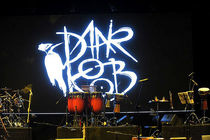 کنسرت گروه موسیقی دارکوب در تالار وحدت اجرا می شود