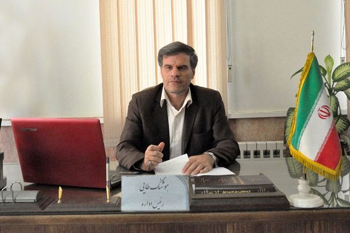 هوشنگ طایی