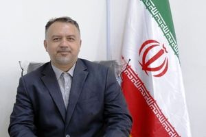 مدیر کل امور سیاسی وزارت کشور منصوب شد