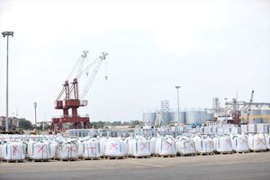 رشد 34 درصدی صادرات سیمان و قیر از بندر امیرآباد