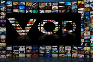 انتقاد از عملکرد VODها و مخالفت با تشکیل صنف دولتی