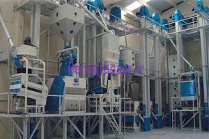 فعالیت 46 کارخانه شالیکوبی مدرن در آمل/شالیکوبی های مدرن موجب کاهش ضایعات و افزایش کیفی محصول می شود