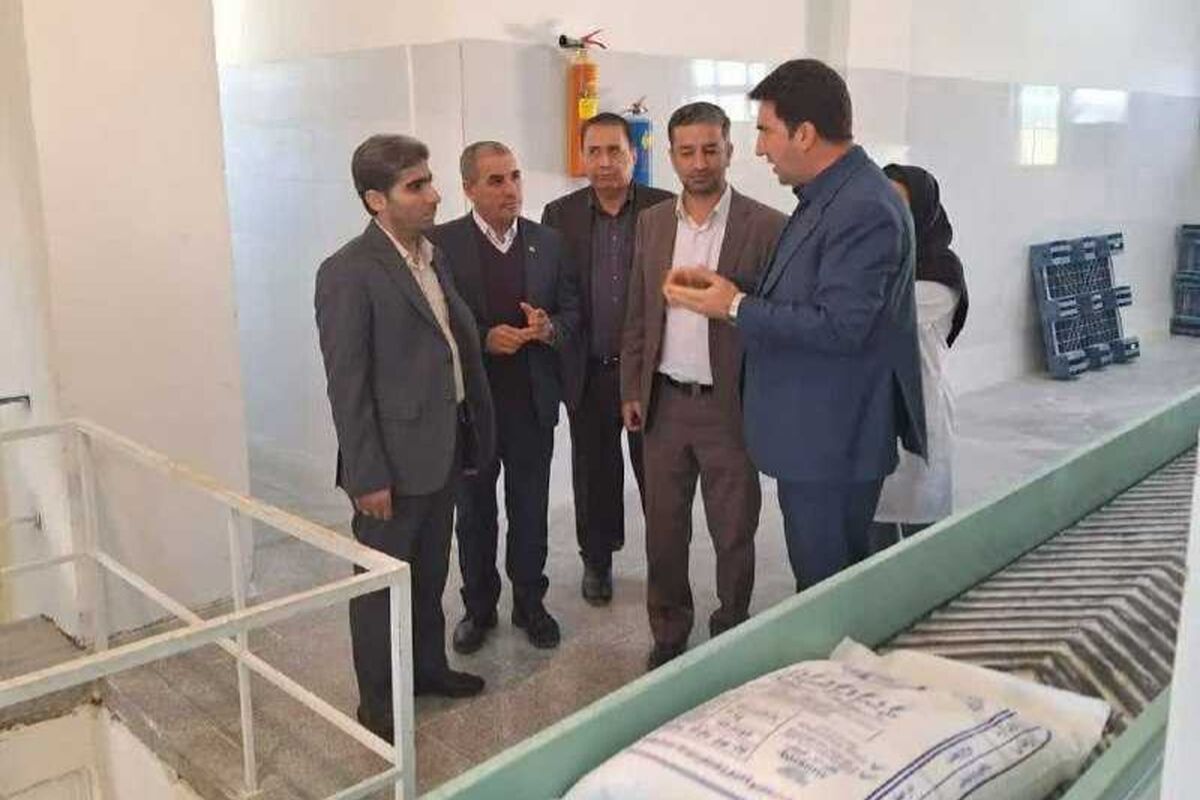 استاندارد