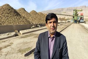 برداشت ۱۲۰ هزار تن چغندر قند از اراضی چهارمحال و بختیاری