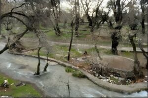 چشمه «قدمگاه» فارس در فهرست آثار طبیعی ملی کشور قرار گرفت