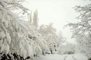 کاهش محسوس دما در البرز