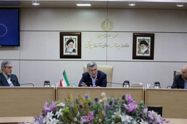 چهارمین جلسه ستاد اجرایی کشوری برنامه پزشکی خانواده و نظام ارجاع برگزار شد