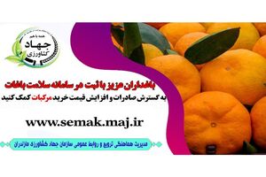 195 هکتار باغ مرکبات و کیوی نوشهر شناسنامه دار شد