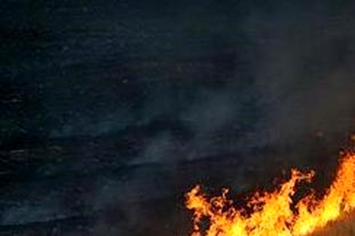 مرگ تدریجی خاک با تداوم آتش زدن گندم‎زارها